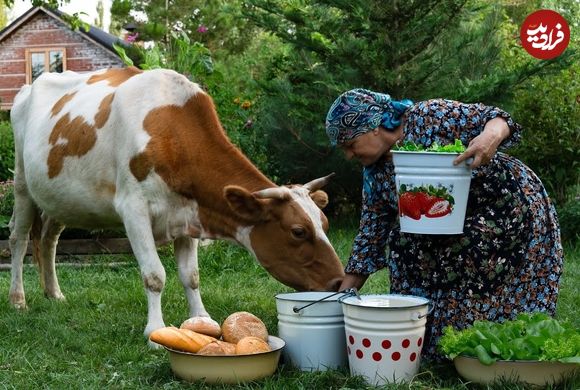 ببینید؛ غذای روستایی در آذربایجان؛ تهیه دوغ، سوپ ماست و نان تنوری توسط مادربزرگ روستایی