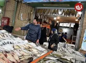 قیمت هرکیلو قزل آلا اعلام شد | با کالابرگ می توان ماهی خرید؟