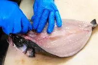 ببینید| غذای خیابانی در آمریکا؛ پخت یک غذای خاص با ماهی و میگو در نیویورک