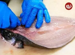 ببینید| غذای خیابانی در آمریکا؛ پخت یک غذای خاص با ماهی و میگو در نیویورک