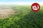 چین آن‌قدر درخت کاشته که نقشه توزیع آب کشور دگرگون شده است