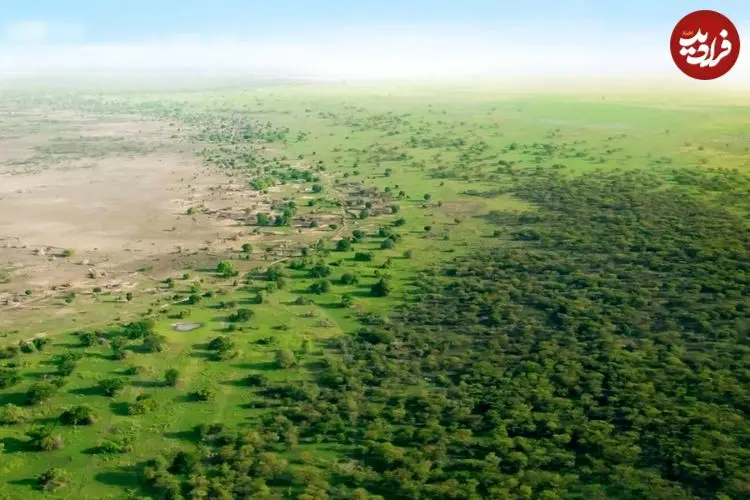 چین آن‌قدر درخت کاشته که نقشه توزیع آب کشور دگرگون شده است