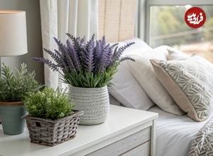 ۶ گیاه آپارتمانی عالی برای استفاده در اتاق خواب