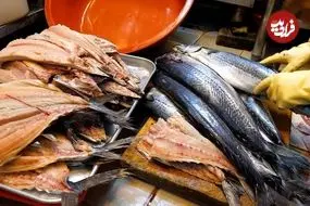 ببینید| غذای خیابانی در کره؛ کباب کردن انواع ماهی روی آتش در سئول