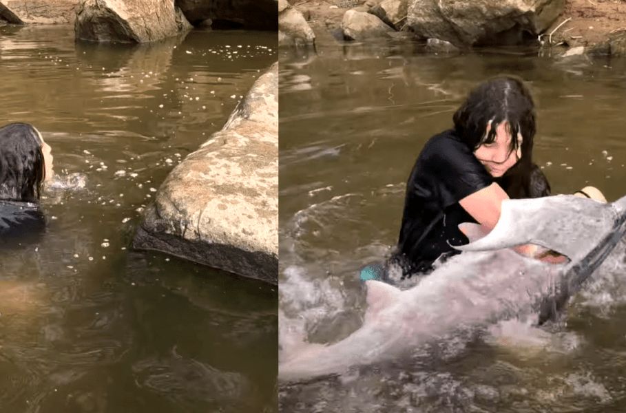 ( ویدیو) ماهی بزرگی که یک بچه با دست خالی صید کرد