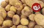 قیمت سیب‌زمینی رسما اعلام شد؛ هر کیلو سیب‌زمینی را در مغازه‌ها چند باید بخریم؟