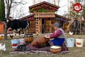 ببینید| غذای روستایی در آذربایجان؛ تهیه کره سنتی با شیر تازه گاو در روستا