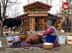 ببینید| غذای روستایی در آذربایجان؛ تهیه کره سنتی با شیر تازه گاو در روستا