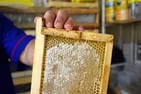 عسل طبیعی رنگ ثابتی ندارد