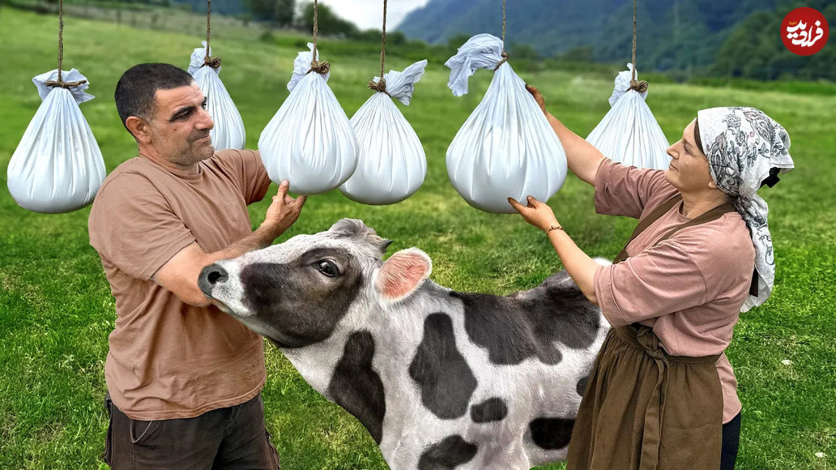 (ویدئو) نحوه تهیه پنیر خانگی با شیر تازه گاو توسط زوج آذربایجانی 