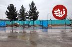 تصاویر؛ سیر تا پیاز کشف گنج با شکوه در قطعه ۲۵۲ بهشت زهرا