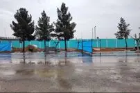 تصاویر؛ سیر تا پیاز کشف گنج با شکوه در قطعه ۲۵۲ بهشت زهرا