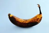 چی کار کنیم موز در یخچال سیاه نشود ؟ 