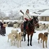 ببینید| غذای روستایی در ایران؛ پخت خوراک سنتی با کدو حلوایی در هوای برفی