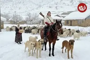ببینید| غذای روستایی در ایران؛ پخت خوراک سنتی با کدو حلوایی در هوای برفی