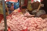 (ویدئو) مهارت عجیب این استاد هندی در برش زدن سرعتی مرغ