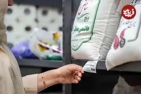 قیمت جدید برنج ایرانی و خارجی در بازار