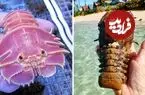 ببینید| لابستر دمپایی؛ یکی از عجیب ترین لابسترهای دنیا