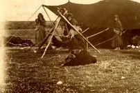 عکس| سفر به ایران قدیم؛ «گاوسواری» در حومۀ شیراز در دوران قاجار
