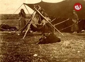 عکس| سفر به ایران قدیم؛ «گاوسواری» در حومۀ شیراز در دوران قاجار