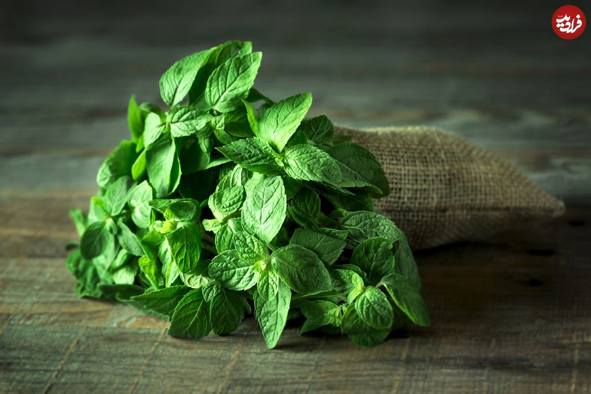 این گیاه دارویی برای آلرژی مفید است