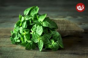 این گیاه دارویی برای آلرژی مفید است