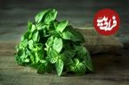 این گیاه دارویی برای آلرژی مفید است