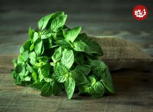 این گیاه دارویی برای آلرژی مفید است