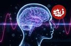 فرمول استیو جابز برای «باهوش‌تر شدن» که هیچ ربطی به IQ ندارد