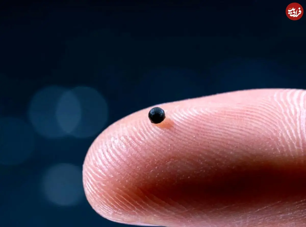 ربات‌های مینیاتوری که می‌توانند دارو را مستقیما به مغز برسانند