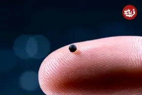 ربات‌های مینیاتوری که می‌توانند دارو را مستقیما به مغز برسانند