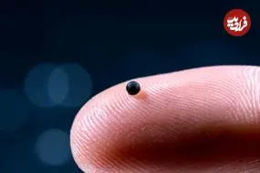 ربات‌های مینیاتوری که می‌توانند دارو را مستقیما به مغز برسانند