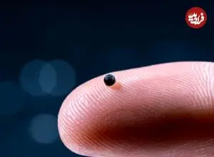 ربات‌های مینیاتوری که می‌توانند دارو را مستقیما به مغز برسانند