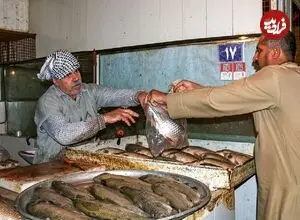 عکس| سفر زمان؛ ماهی فروش بندرعباسی مشغول قلیان کشیدن در کنار ماهی هایش؛ دهه 50