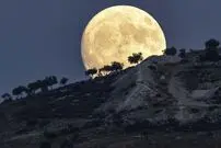 آیا ماه کامل واقعاً باعث بی‌خوابی ما می‌شود؟