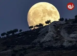 آیا ماه کامل واقعاً باعث بی‌خوابی ما می‌شود؟