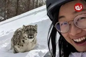 ببینید| تلاش زن اسکی‌باز برای گرفتن سلفی با پلنگ برفی در چین به قیمت جان