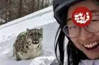 ببینید| تلاش زن اسکی‌باز برای گرفتن سلفی با پلنگ برفی در چین به قیمت جان