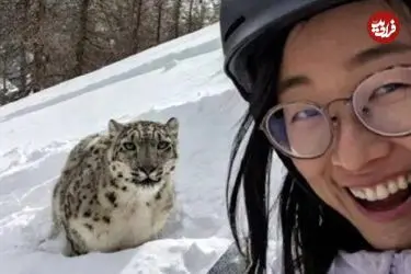 ببینید| تلاش زن اسکی‌باز برای گرفتن سلفی با پلنگ برفی در چین به قیمت جان