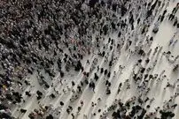 نتیجه یک پژوهش: زمین ظرفیت پشتیبانی از فقط ۲٫۵ میلیارد نفر را دارد