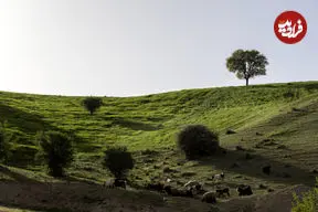 تصاویر| مشایخ؛ دهستانی بکر که طبیعت در آن نفس می‌کشد
