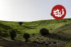 تصاویر| مشایخ؛ دهستانی بکر که طبیعت در آن نفس می‌کشد