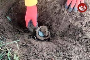 زن و شوهر روستایی «کوزۀ سکّه‌های 300 ساله» را در مزرعه‌شان پیدا کردند