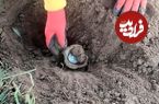 زن و شوهر روستایی «کوزۀ سکّههای 300 ساله» را در مزرعهشان پیدا کردند