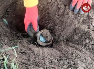 زن و شوهر روستایی «کوزۀ سکّههای 300 ساله» را در مزرعهشان پیدا کردند
