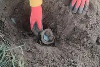 زن و شوهر روستایی «کوزۀ سکّه‌های 300 ساله» را در مزرعه‌شان پیدا کردند