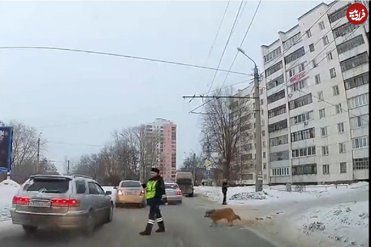 (ویدئو) کمک افسر پلیس به یک سگ برای عبور از خیابان