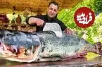 ببینید| غذای روستایی در آذربایجان؛ کباب کردن ماهی کپور سرگنده