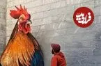 شاهکارهایی در گوشه و کنار خیابان‌ها؛ از خروس سه‌بُعدی تا آتش‌سوزی مینیاتوری