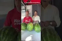 (ویدئو) چهار روش ساده برای تشخیص هندوانه شیرین و قرمز در ایتالیا